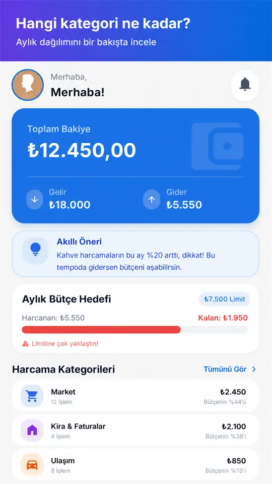 Kategori bazında gider analizi